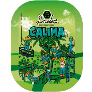 CALIMA