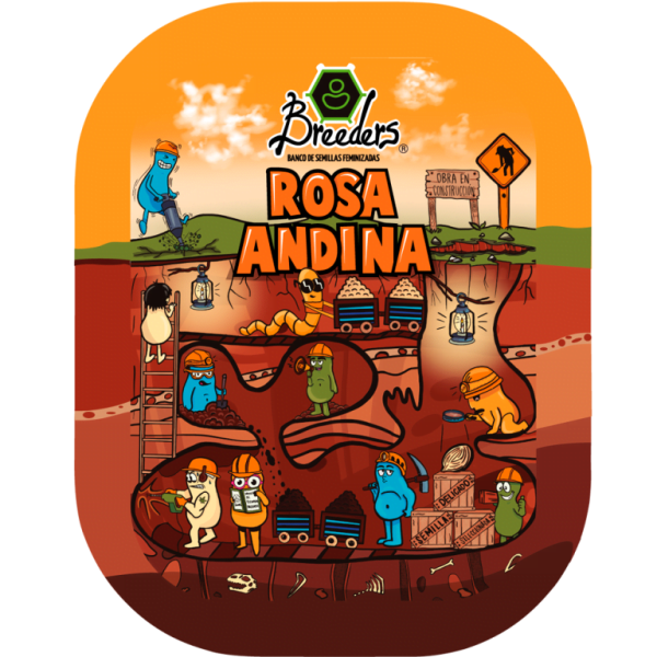 ROSA ANDINA