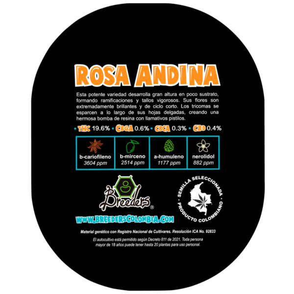 ROSA ANDINA - Imagen 9