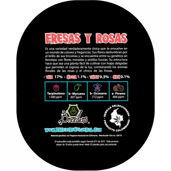 FRESAS Y ROSAS - Imagen 6